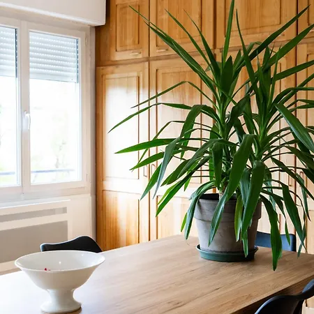 Apartment Bright And Charming 50 M Cocoon Bordeaux